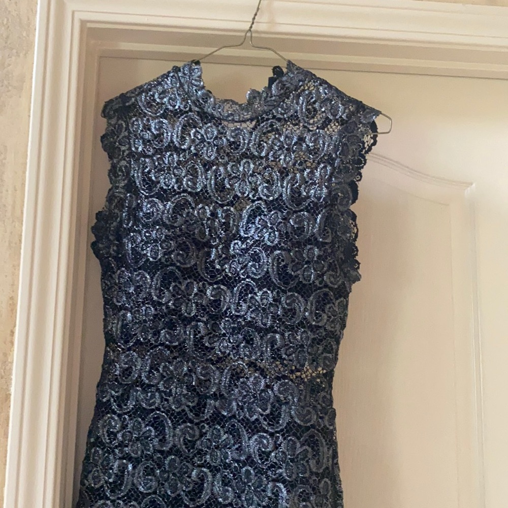 Super cute sparkly dress. Lace with an opening on the stomach area.